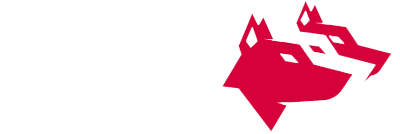 light logo